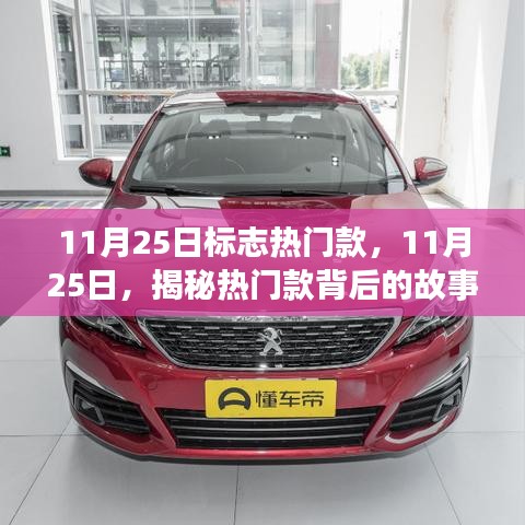 揭秘热门款背后的故事，11月25日时尚潮流揭秘日