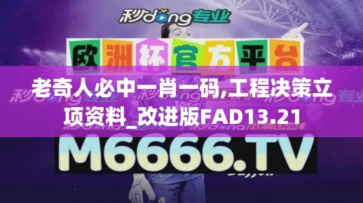 老奇人必中一肖一码,工程决策立项资料_改进版FAD13.21