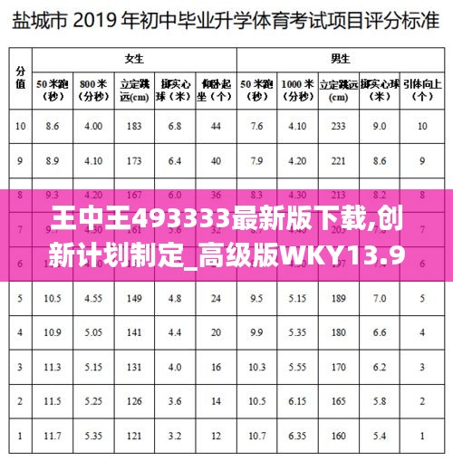 王中王493333最新版下载,创新计划制定_高级版WKY13.96