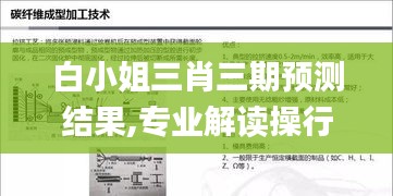 白小姐三肖三期预测结果,专业解读操行解决_轻量版TYK13.8