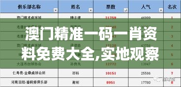 澳门精准一码一肖资料免费大全,实地观察解释定义_乐享版MJC13.37