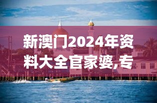 新澳门2024年资料大全官家婆,专业数据解释设想_奢华版DXV13.26