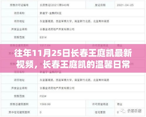 长春王庭凯，温馨日常与友情时光记录——十一月二十五日特写