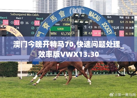 澳门今晚开特马70,快速问题处理_效率版VWX13.30