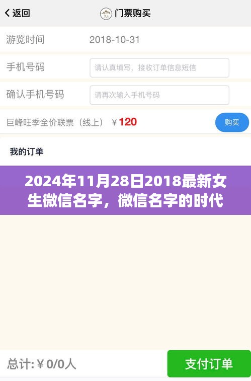 深度探讨，女生微信名字的时代变迁与选择趋势
