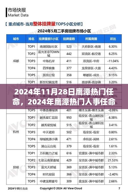 物稀为贵 第3页