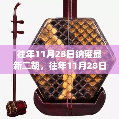 往年11月28日纳雍最新二胡测评及介绍，品质与技艺的完美融合