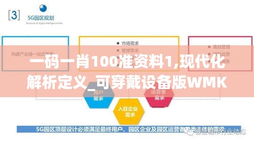 一码一肖100准资料1,现代化解析定义_可穿戴设备版WMK13.99