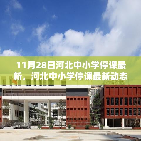 河北中小学停课最新动态，11月28日的深刻印记