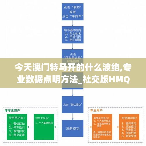 百鸟朝凤 第5页