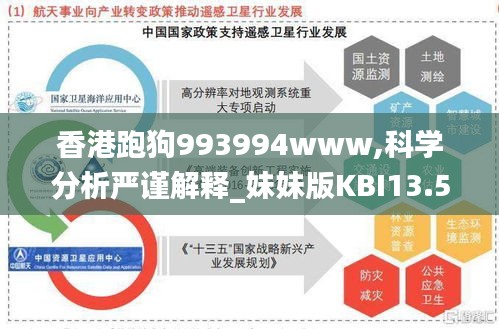 香港跑狗993994www,科学分析严谨解释_妹妹版KBI13.51