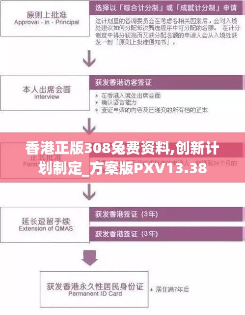 香港正版308兔费资料,创新计划制定_方案版PXV13.38