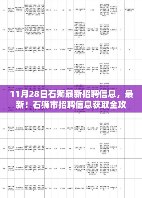 石狮市最新招聘信息全攻略，初学者与进阶用户适用的获取渠道（11月28日更新）