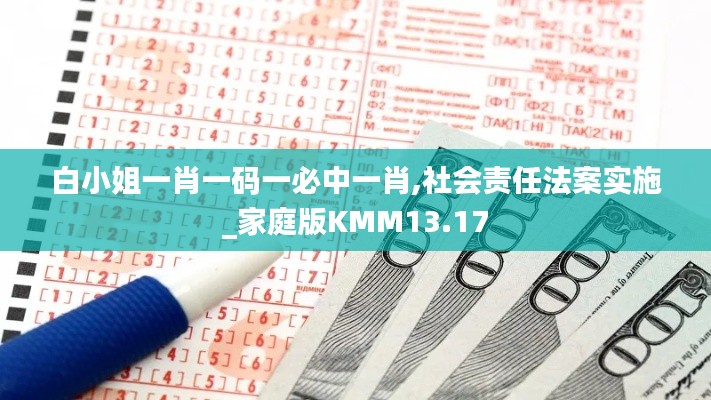 白小姐一肖一码一必中一肖,社会责任法案实施_家庭版KMM13.17