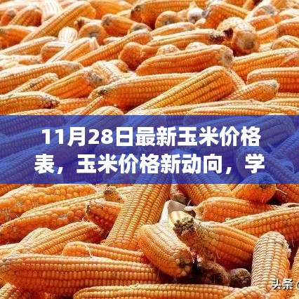 最新玉米价格动态，学习变化的力量，自信成就梦想