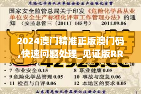 2024澳门精准正版澳门码,快速问题处理_见证版RRD13.96