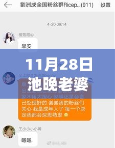 11月28日池晚与老婆复婚话题热门章节解读及情感案例分析