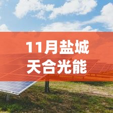 盐城天合光能热门招聘应聘全攻略，从入门到成功应聘的每一步解析