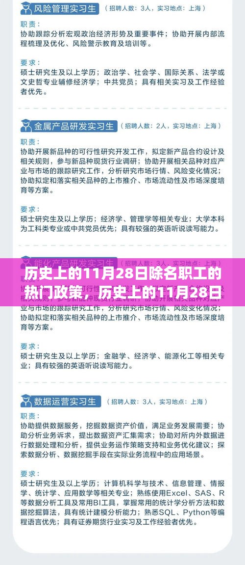 历史上的11月28日除名职工政策下的智能生活革新之旅，智能助手体验探索