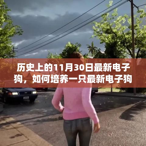 历史上的11月30日，最新电子狗的培养指南与详细指南解析