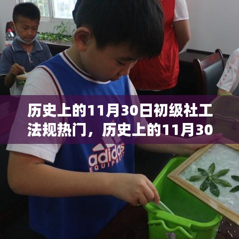 历史上的11月30日，初级社工法规的热门演变及其深远影响