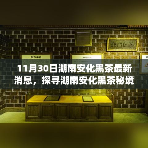 探寻湖南安化黑茶秘境，最新消息与小巷中的独特茶香