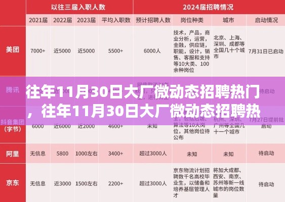 往年11月30日大厂微动态招聘热门概览与解析