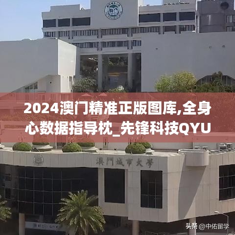 2024澳门精准正版图库,全身心数据指导枕_先锋科技QYU12.600