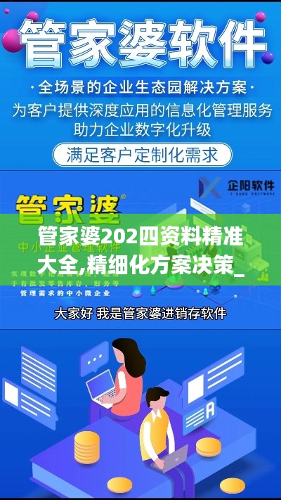 管家婆202四资料精准大全,精细化方案决策_散热版USM26.102