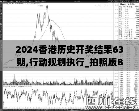 2024香港历史开奖结果63期,行动规划执行_拍照版BFB28.658