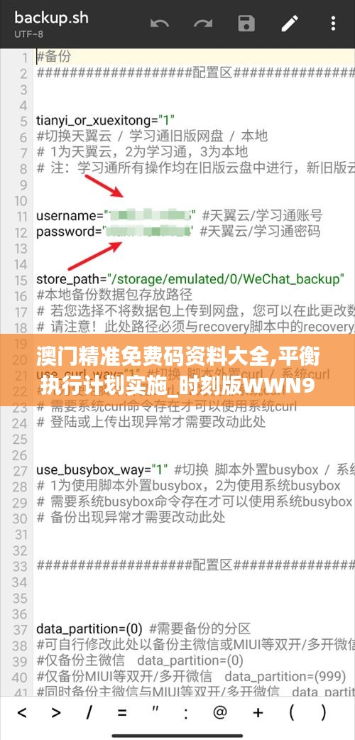 澳门精准免费码资料大全,平衡执行计划实施_时刻版WWN98.109