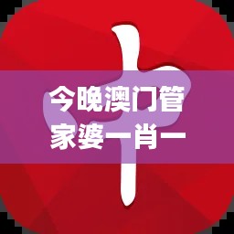 今晚澳门管家婆一肖一码,详情执行数据安援_丰富版EBM90.473
