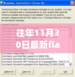 最新Flash Player下载体验，功能升级，引领生活新潮流！