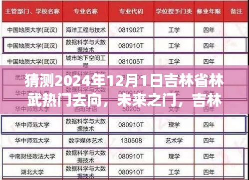 吉林林武未来展望，揭秘2024年热门去向与奇妙之旅的温馨归宿