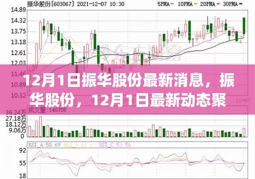 振华股份最新动态聚焦，12月1日消息一览