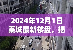 懵懵懂懂 第3页