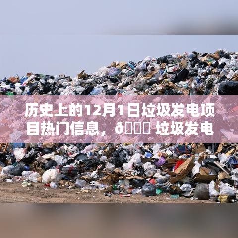揭秘垃圾发电项目的科技魅力与最新体验，历史上的12月1日垃圾发电项目热门信息回顾与前沿展望