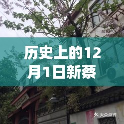 巷弄深处的独特风情
