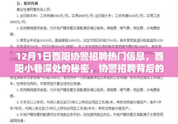 还朴反古 第3页