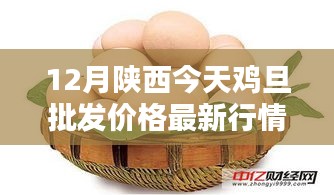 陕西今日鸡蛋批发价格详解，最新行情、查询方法与应对策略
