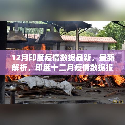 印度十二月疫情数据报告最新解析与报告概述