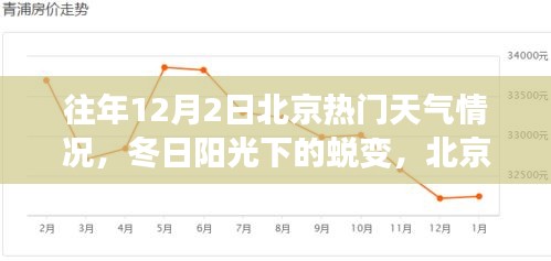 北京往年12月2日冬日阳光下的学习之旅与自信起航，天气回顾与蜕变时刻