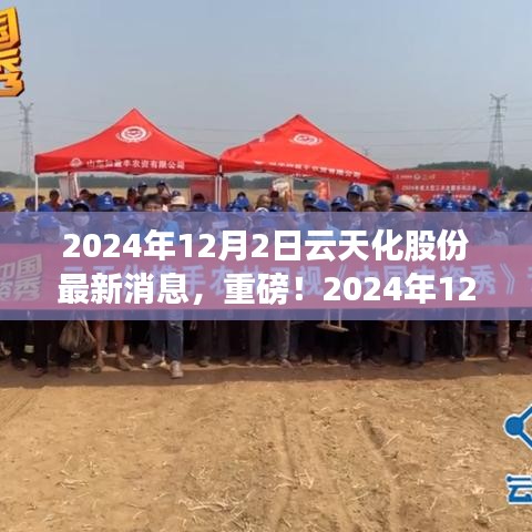 独家揭秘，云天化股份最新动态与未来展望（2024年12月2日更新）