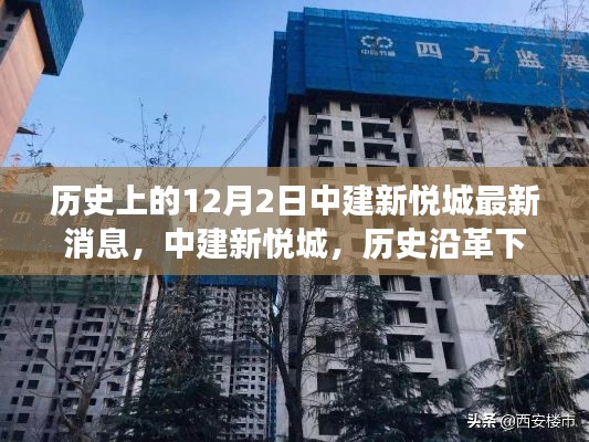 展翅欲飞 第4页