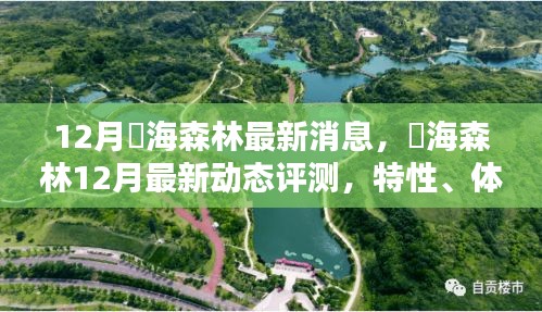 用户群体深度分析