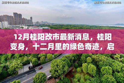 12月桂阳改市最新动态，绿色奇迹启程，心灵之旅开启