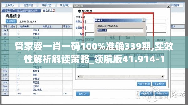 管家婆一肖一码100%准确339期,实效性解析解读策略_领航版41.914-1