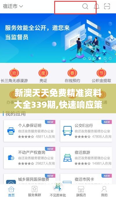 新澳天天免费精准资料大全339期,快速响应策略方案_WP版65.618-4