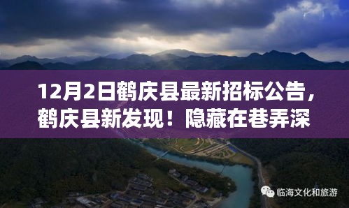 鹤庆县新发现，招标背后的惊喜故事与隐藏在巷弄深处的特色小店