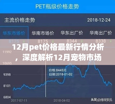 深度解析，12月宠物市场脉动与宠物价格最新行情背景重塑
